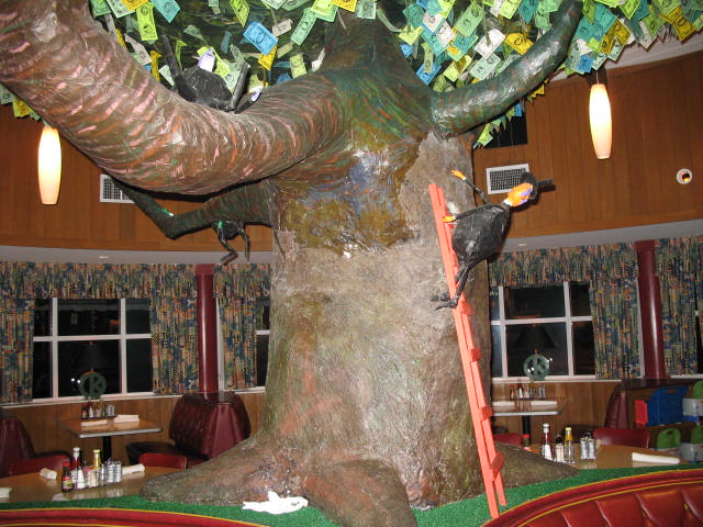Money tree too